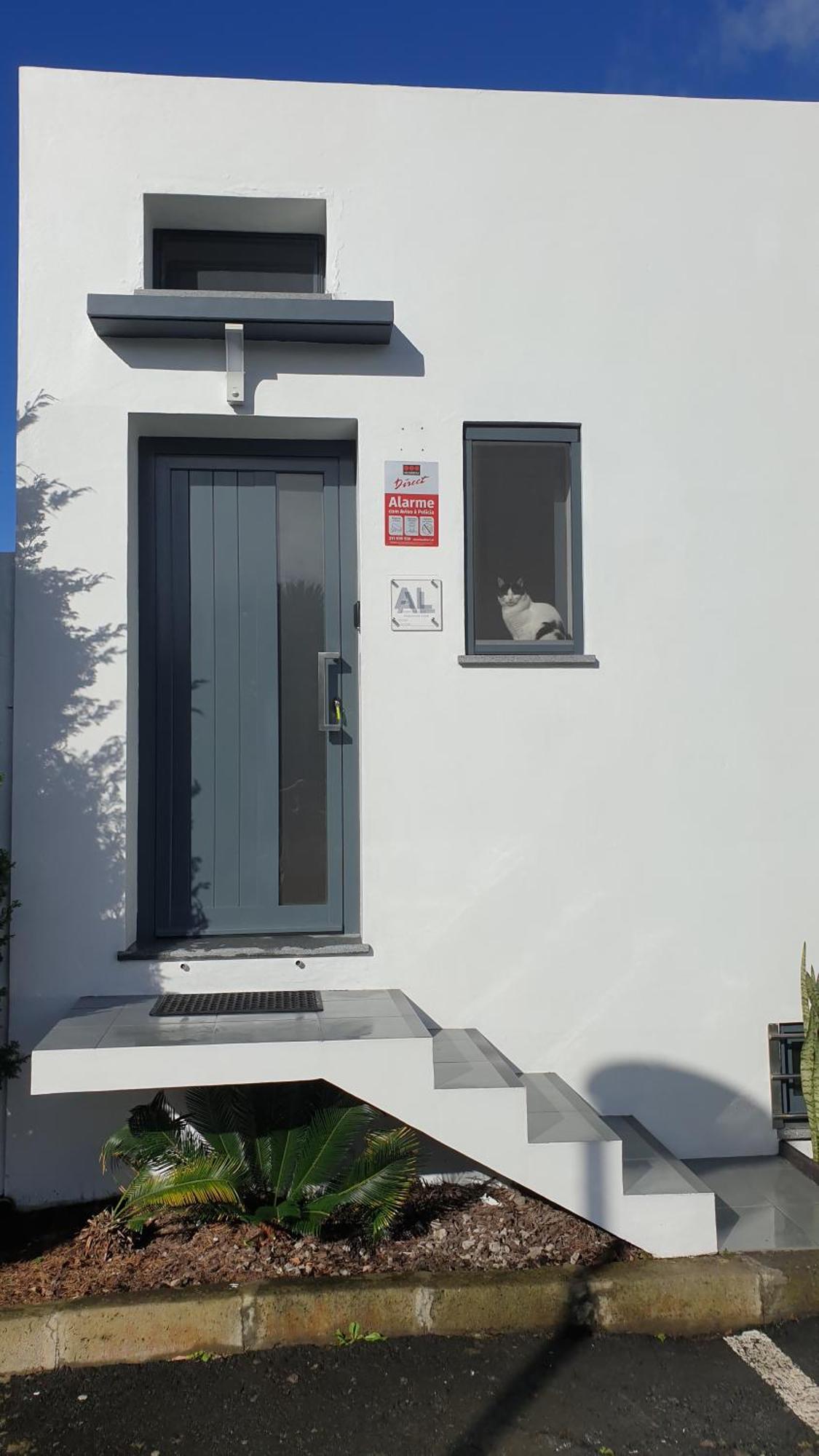 Caminhos Nos Levam Pela Ilha Apartment Ponta Delgada  Ngoại thất bức ảnh